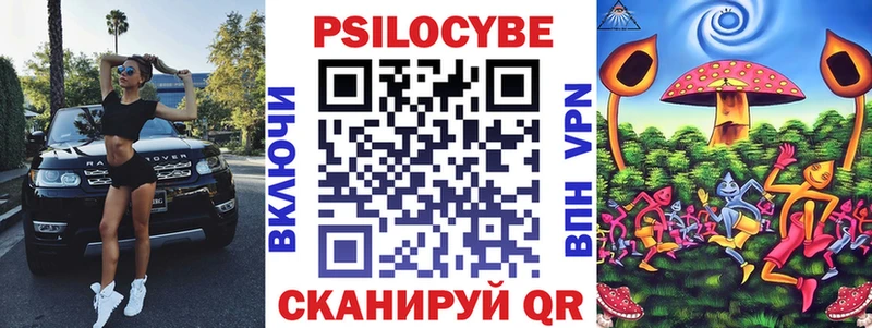 Галлюциногенные грибы Psilocybe  Агидель 